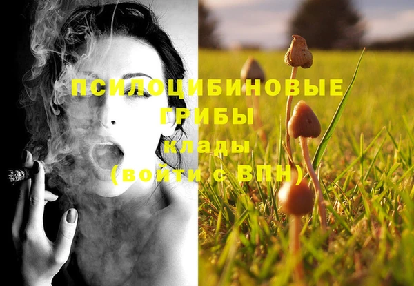 не бодяженный Зерноград